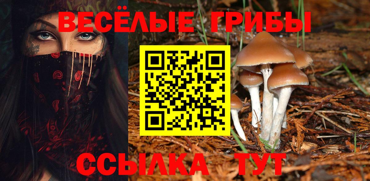 Псилоцибиновые грибы прущие грибы Когалым